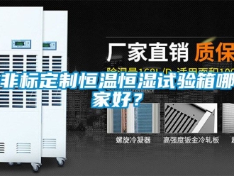 知識(shí)百科非標(biāo)定制恒溫恒濕試驗(yàn)箱哪家好？