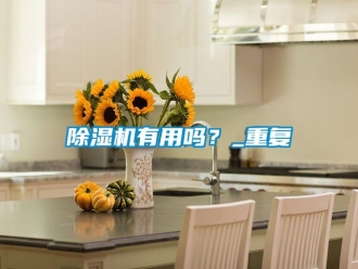 行業(yè)新聞除濕機有用嗎？_重復(fù)