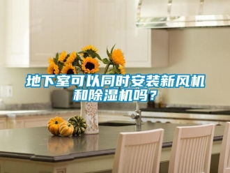 常見(jiàn)問(wèn)題地下室可以同時(shí)安裝新風(fēng)機(jī)和除濕機(jī)嗎？
