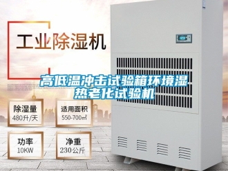 常見問題高低溫沖擊試驗箱環(huán)境濕熱老化試驗機(jī)