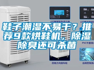 行業(yè)新聞鞋子潮濕不易干？推薦9款烘鞋機(jī)，除濕除臭還可殺菌