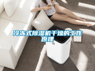 行業(yè)新聞冷凍式除濕機(jī)干燥的工作原理