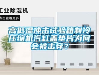 常見問題高低溫沖擊試驗箱制冷壓縮機(jī)汽缸蓋墊片為何會被擊穿？