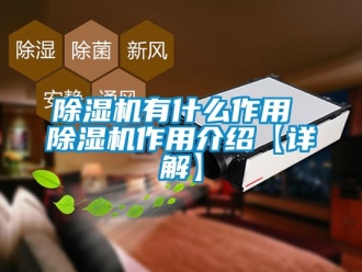 行業新聞除濕機有什么作用 除濕機作用介紹【詳解】