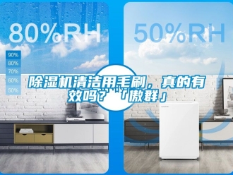 行業(yè)新聞除濕機清潔用毛刷，真的有效嗎？「傲群」