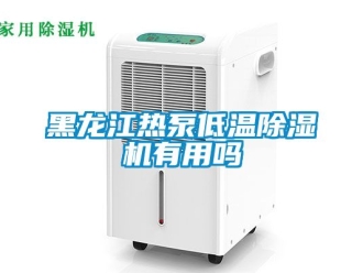 行業新聞黑龍江熱泵低溫除濕機有用嗎