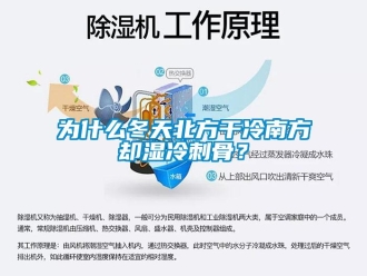 知識百科為什么冬天北方干冷南方卻濕冷刺骨？
