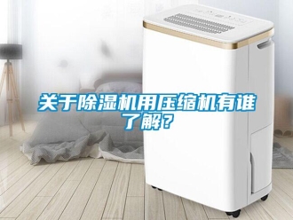 企業(yè)新聞關(guān)于除濕機(jī)用壓縮機(jī)有誰(shuí)了解？