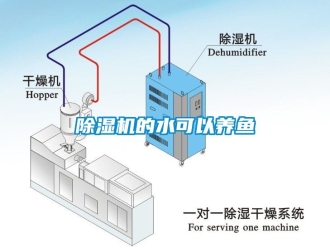 企業(yè)新聞除濕機的水可以養(yǎng)魚