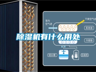 行業新聞除濕機有什么用處