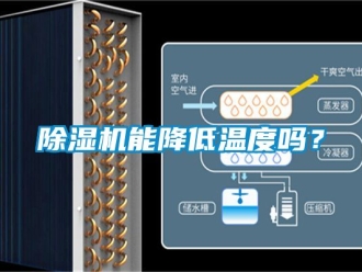 行業新聞除濕機能降低溫度嗎？