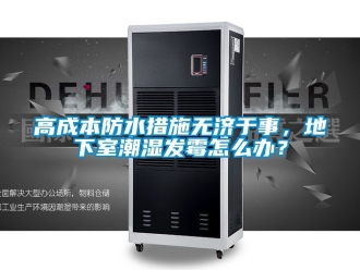 企業新聞高成本防水措施無濟于事，地下室潮濕發霉怎么辦？