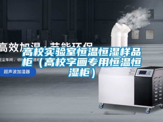 知識(shí)百科高校實(shí)驗(yàn)室恒溫恒濕樣品柜（高校字畫(huà)專用恒溫恒濕柜）