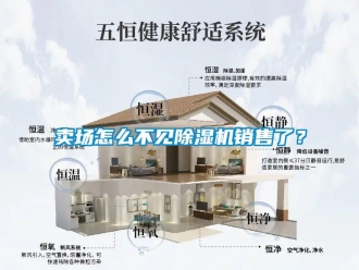 常見問題賣場怎么不見除濕機(jī)銷售了？