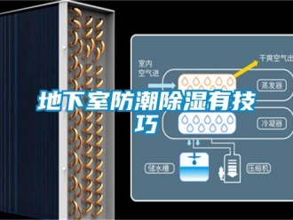 企業新聞地下室防潮除濕有技巧