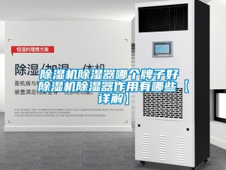 企業(yè)新聞除濕機(jī)除濕器哪個(gè)牌子好 除濕機(jī)除濕器作用有哪些【詳解】