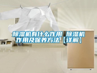 行業新聞除濕機有什么作用 除濕機作用及保養方法【詳解】