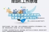 除濕機在中國市場如何，有哪些品牌比較好？
