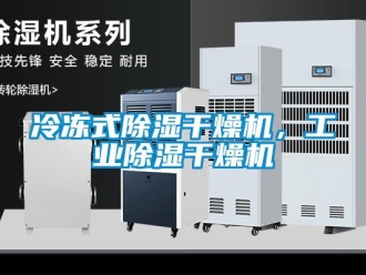 行業(yè)新聞冷凍式除濕干燥機(jī)，工業(yè)除濕干燥機(jī)