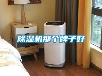 行業新聞除濕機那個牌子好