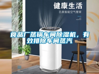 企業新聞食品廠蒸鍋車間除濕機，有效排除車間蒸汽